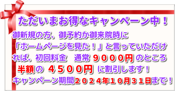 こがねいカイロ「仲秋の腰痛・肩こりキャンペーン」　ただいま初回施術料９０００円→４５００円にて施術！