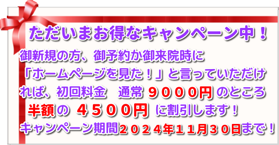 こがねいカイロ「晩秋の腰痛・肩こりキャンペーン」　ただいま初回施術料９０００円→４５００円にて施術！