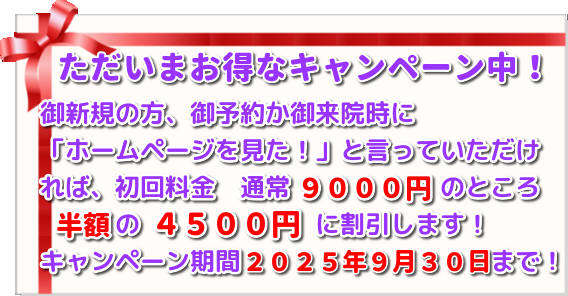こがねいカイロ「初秋の候　腰痛・肩こりキャンペーン」　ただいま初回施術料９０００円→４５００円にて施術！