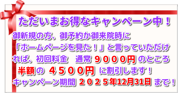 こがねいカイロ「師走の腰痛・肩こりキャンペーン」　ただいま初回施術料９０００円→４５００円にて施術！