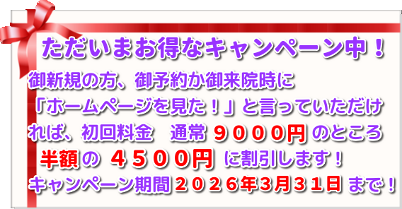 こがねいカイロ「春の腰痛・肩こりキャンペーン」　ただいま初回施術料９０００円→４５００円にて施術！