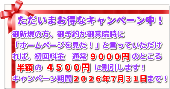 こがねいカイロ「盛夏の七月、腰痛・肩こりキャンペーン」　ただいま初回施術料９０００円→４５００円にて施術！